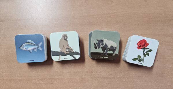 Bild #2 Blitz Zebra Astronaut