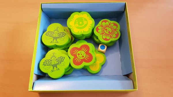 Bild #2 Blumen finden