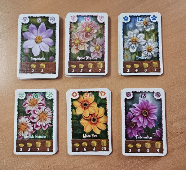 Bild #2 Bohnanza: Dahlia