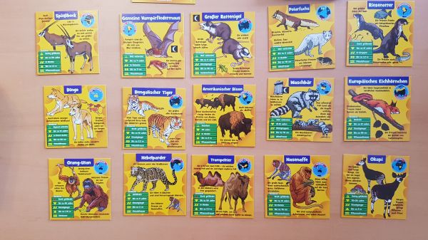 Bild #2 Brain Box - Wilde Tiere