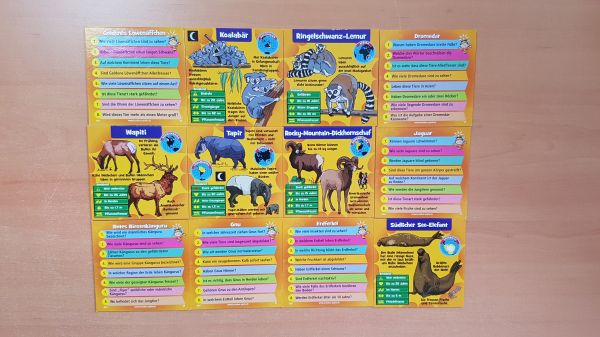 Bild #3 Brain Box - Wilde Tiere