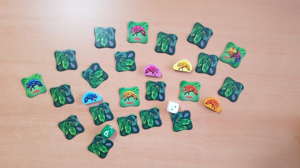 Bild #2 Cami Chamäleon