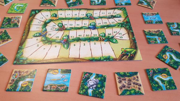 Bild #2 Carcassonne Amazonas