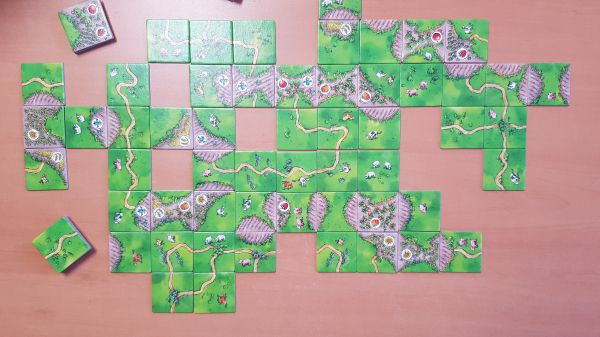 Bild #3 Carcassonne über Stock und Stein