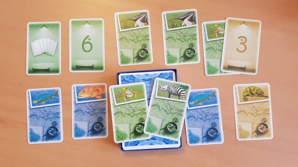 Bild #2 Coloretto Amazonas 