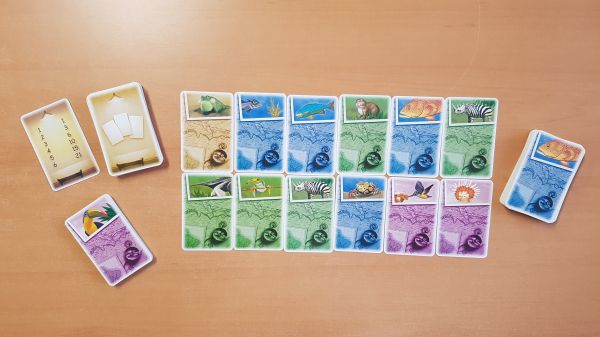 Bild #3 Coloretto Amazonas 