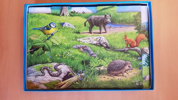 Bild #2 Der Natur auf der Spur