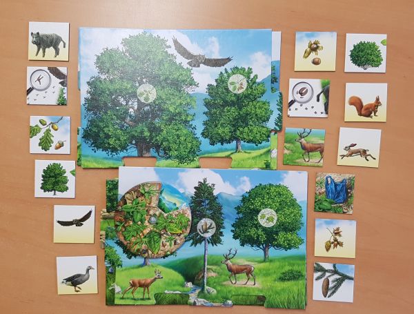 Bild #3 Der Natur auf der Spur