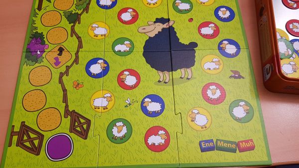 Bild #2 Eddy, das schwarze Schaf