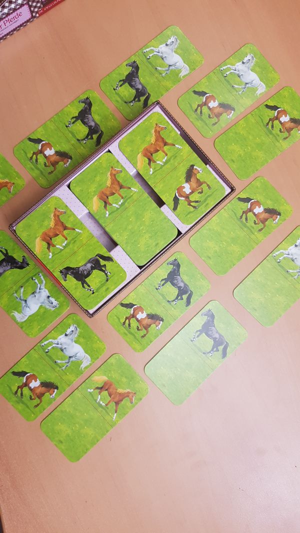 Bild #2 Eine Herde wilder Pferde