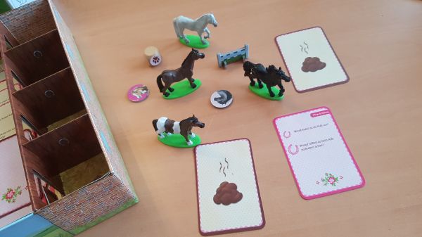 Bild #2 Ein Tag auf dem Reiterhof