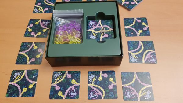 Bild #2 Fairy Trails