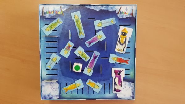 Bild #3 Flossen hoch!