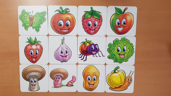 Bild #3 Flotti Karotti