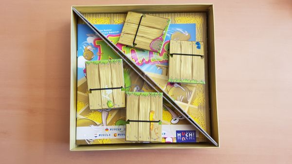 Bild #2 Flying Kiwis