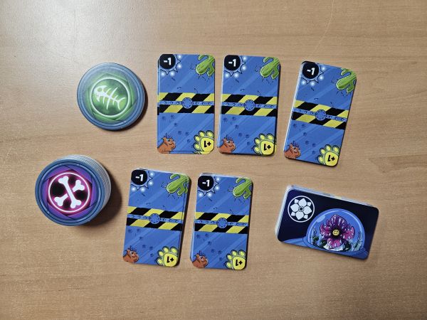 Bild #2 Get that cat