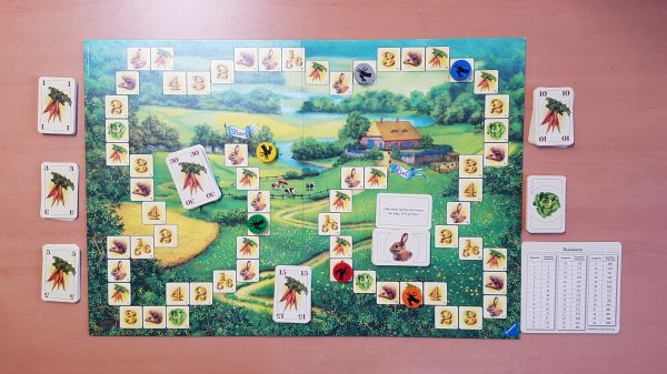 Bild #3 Hase und Igel