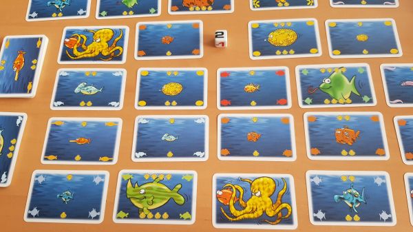 Bild #2 Kleine Fische