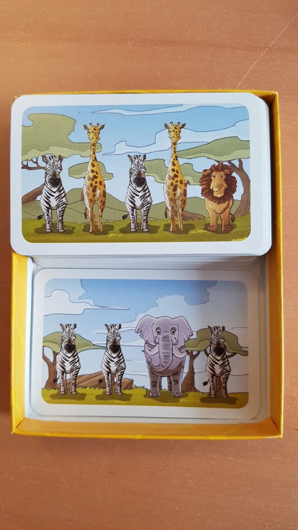 Bild #2 Kleine Fotosafari