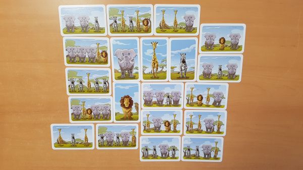 Bild #3 Kleine Fotosafari