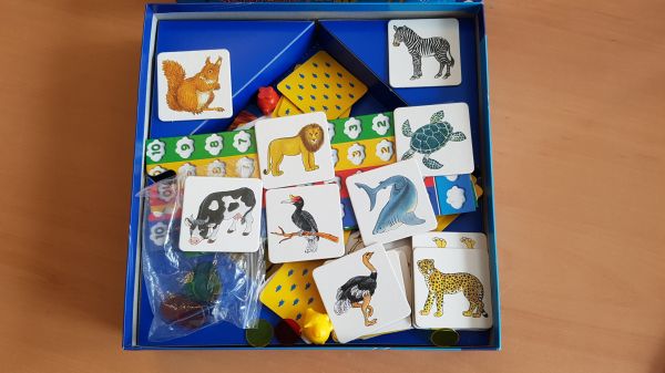 Bild #2 Können Schweine fliegen?