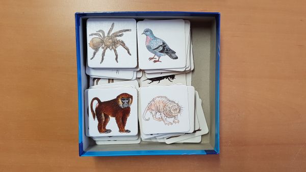 Bild #2 Können Schweine fliegen? Erweiterungsset