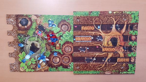 Bild #3 Oh nein! Die Schnackelstein!