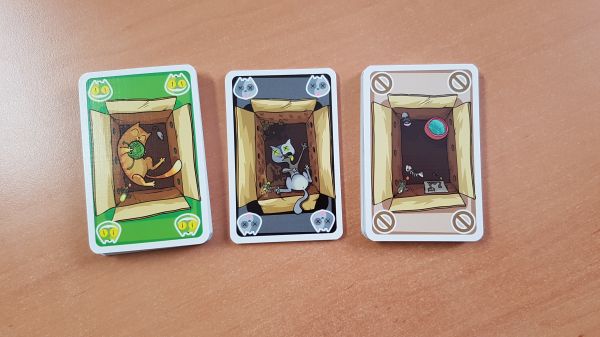 Bild #2 Schrödingers Katzen