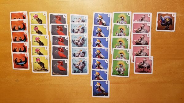 Bild #2 Schräge Vögel