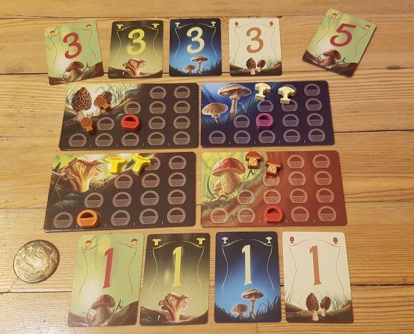 Bild #2 Schätze des Waldes 