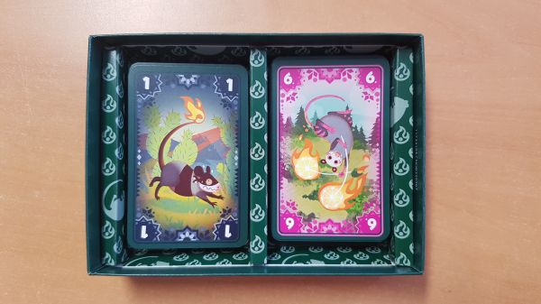 Bild #2 Tails on Fire