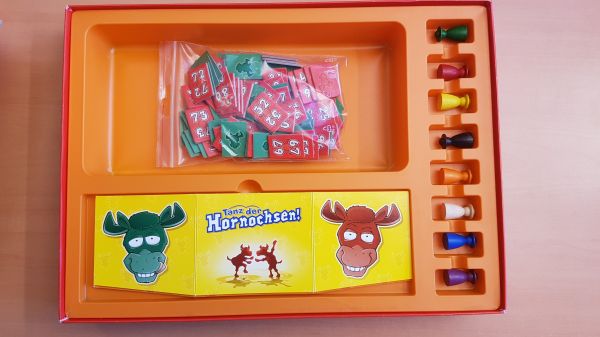 Bild #2 Tanz der Hornochsen