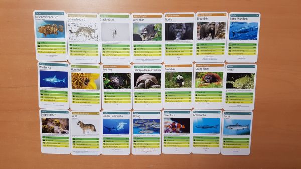 Bild #2 Tiere toppen !