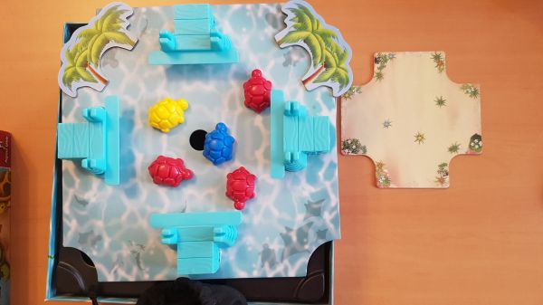 Bild #2 Turtle Mania