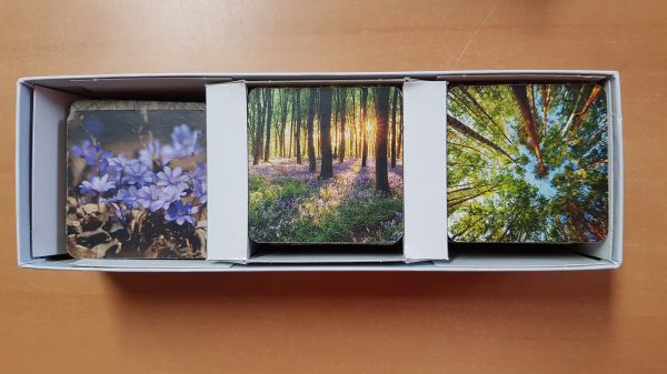 Bild #2 Waldbaden Memo-Spiel