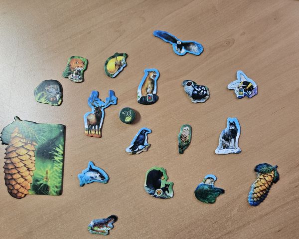 Bild #2 Waldland: Immergrün & Artenreich