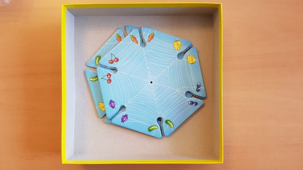 Bild #2 Walli  Wickelspinne