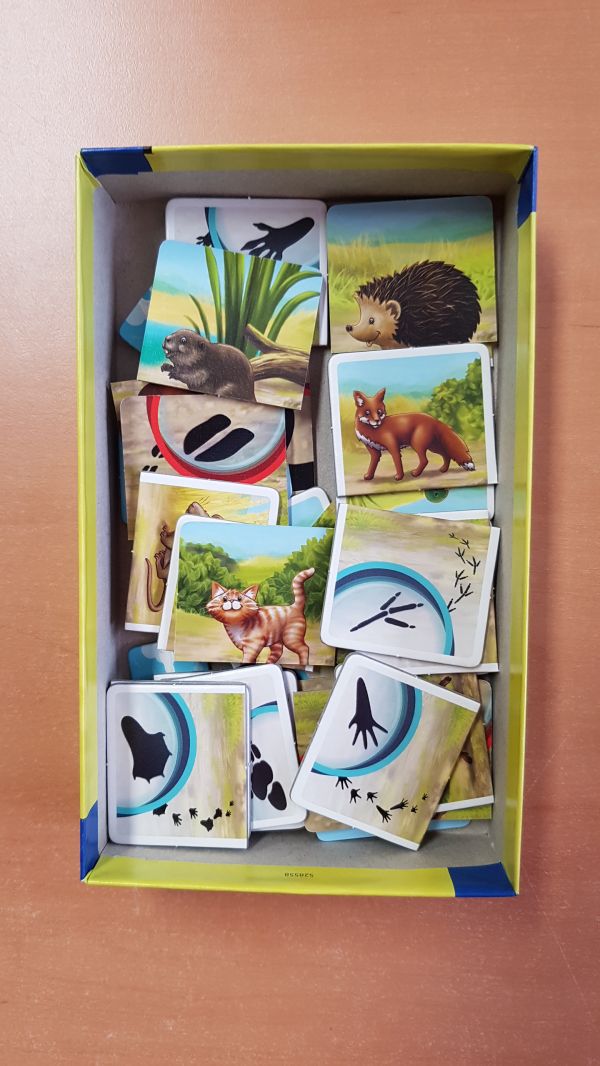 Bild #2 Welches Tier trampelt hier? 