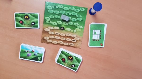 Bild #2 Wie die Wombats